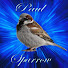 2Y77rShF79Q-channel-avatar-Paul Sparrow