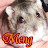 @eliteninjahamster4770