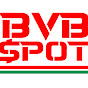 BVB SPOT logo