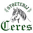 ZwaLV2z2ubA-channel-avatar-Stoeterij Ceres Welsh Cobs