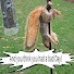 96lVrITWm7A-channel-avatar-Craig Timmons