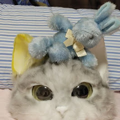 スタラビにゃん山田三毛猫フォーティー40 自由気まま気まぐれちゃんねる