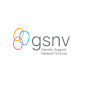 GSNV Info logo