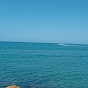 giovannydeossa4257