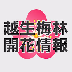 越生梅林開花情報アイコン画像