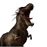 CJJdtOHYcMk-channel-avatar-VersusLife