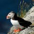 Channel Image