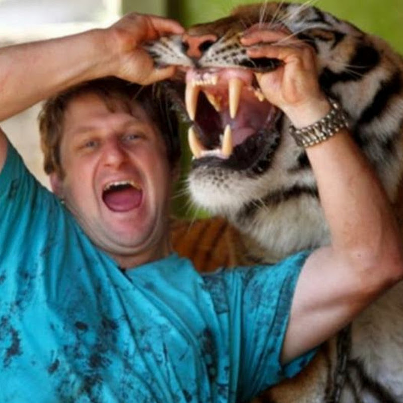 Tigers Brazil - Tigres do Brasil icon