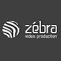 Zebravideo - съемка видеороликов для бизнеса
