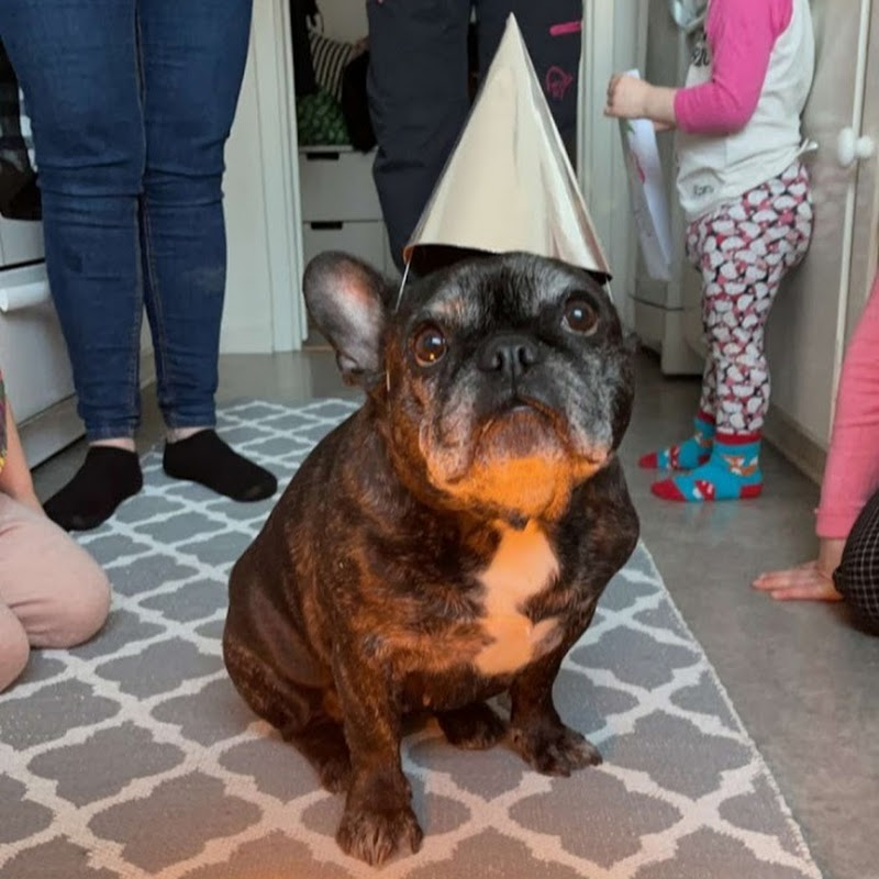 M. Bjoernstroem Logo