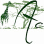 acacia safari logo
