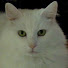 sYQE1jP4Cqs-channel-avatar-Hyacinth B.