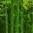 GUyCI51v_YQ-channel-avatar-chiera mrachi
