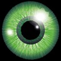 Live Konzerte von Seelennacht & Excubitors