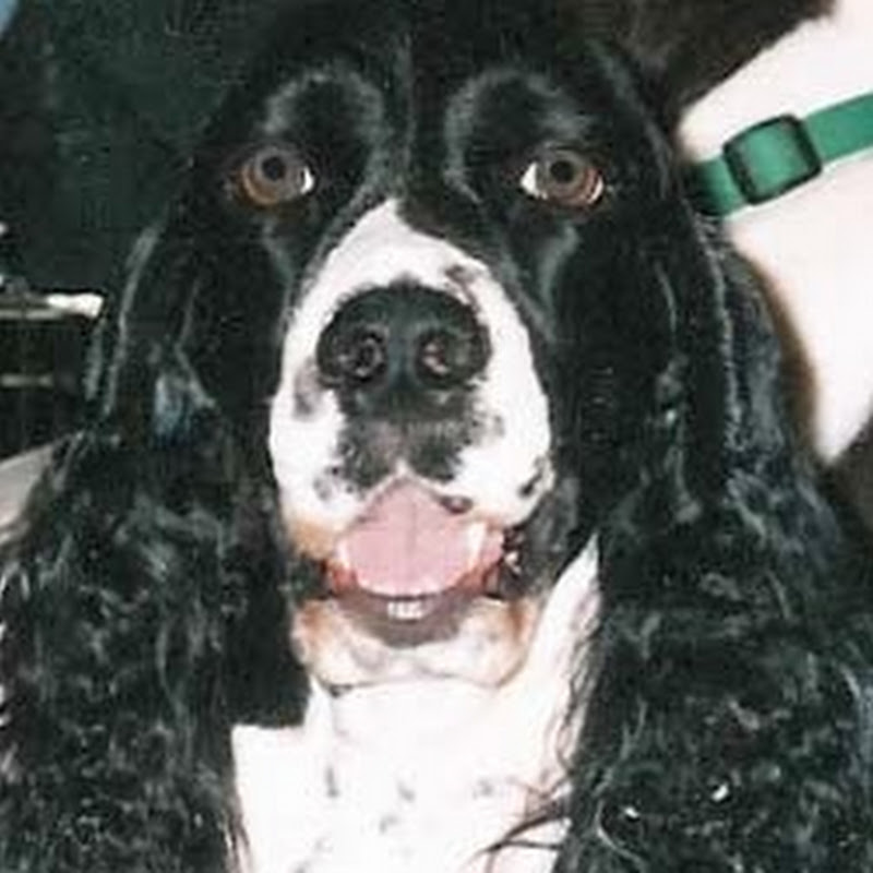 essmom icon