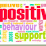 ftkh5TuWJvM-channel-avatar-Positive Behaviour Support