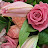 @user-xx9rv1mp8x
