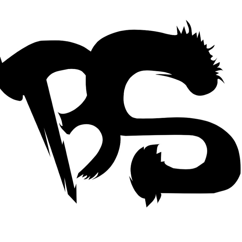 Video Game BS