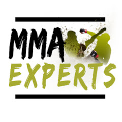 MMA EXPERTS net worth