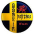 k03t-Er9BnU-channel-avatar-Goshin Ju-jitsu Association UK-Wales