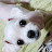 @고영인-w4t