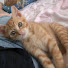 eBIlxYGLObM-channel-avatar-猫ひろみ -cat-