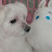 @모나미-u4g