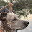 7-2YiHz-Qbs-channel-avatar-Louisiana Canoe Fish and Explore