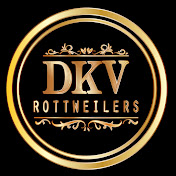 DKV Rottweilers