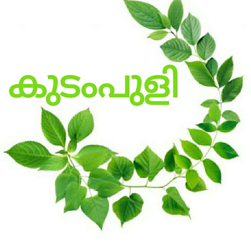 Kudampuli