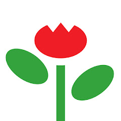 Healthy Start Coalition of Miami-Dade