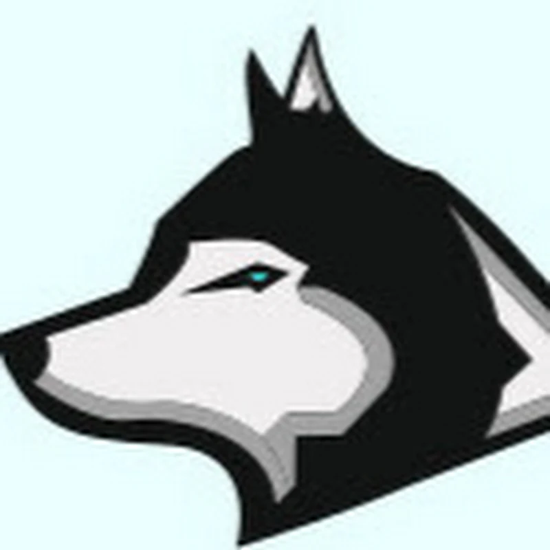 Wolf Playz