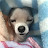@user-ec2hf6jw3t