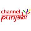 What could Channel Punjabi buy with $100 thousand?