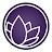 Nanolex Car Care