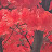 @이문동-e2b