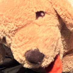 ゆっくりる