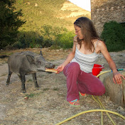 Isabel fengshui