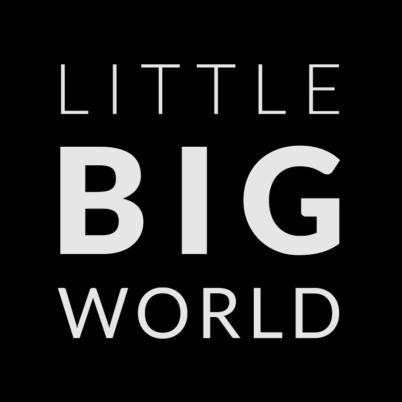 Little Big World icon