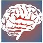 Stroke and Brain Aneurysm Center of Long Island logo
