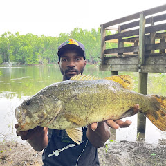 BankFish Vince