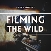 Filming The Wild