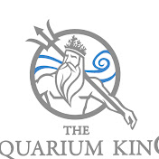 The Aquarium King