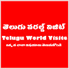 What could Telugu World visite buy with $663.5 thousand?