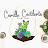 Avatar de @camillecactilentsplantshop3608