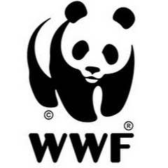 WWF-Gabon
