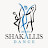 Shakallis Dance School - OFFICIAL -