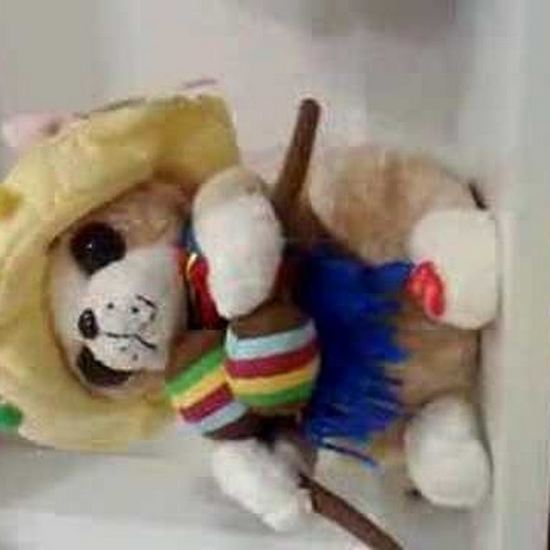 marcomeira