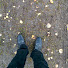 8EvoZ7vgu0A-channel-avatar-pink0f