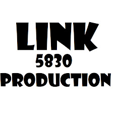 LINK 5830 Productions net worth